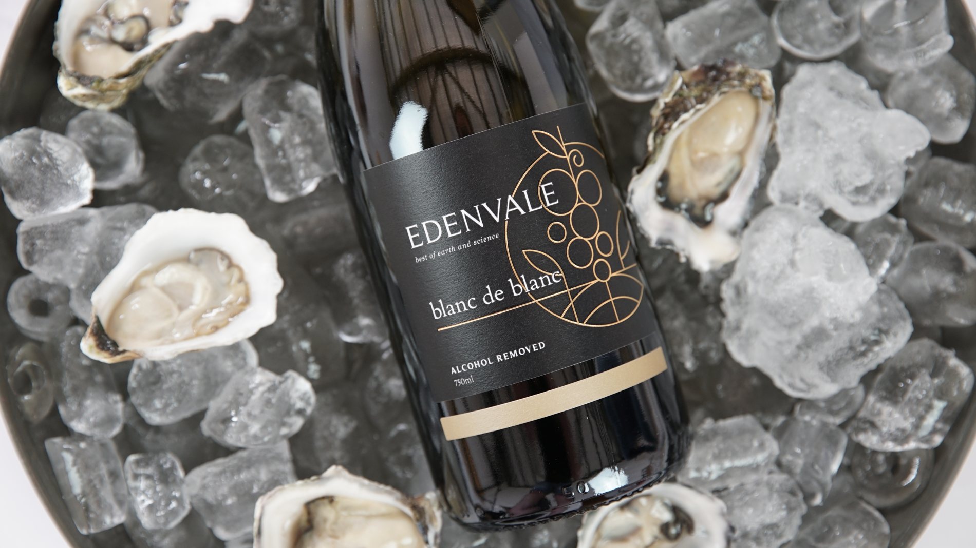 Edenvale Blanc de Blanc with oysters